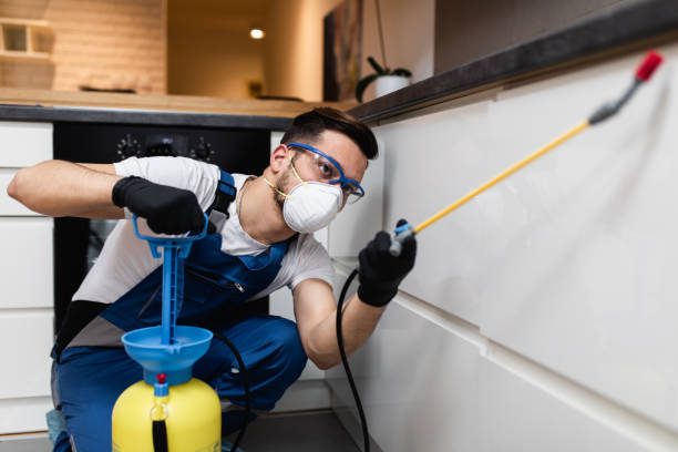 Best Pest Removal Services  in Fairfield, CA