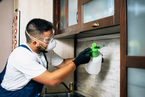 Best Residential Pest Control  in Fairfield, CA