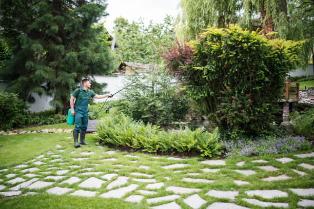 Best Wasp Removal Services  in Fairfield, CA