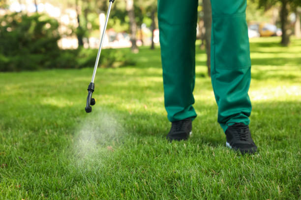 Reliable Fairfield, CA Pest Control Solutions