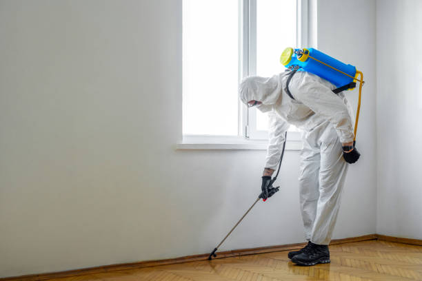 Best Exterminator Services  in Fairfield, CA