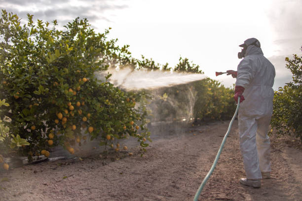 Best Pest Control for Restaurants  in Fairfield, CA