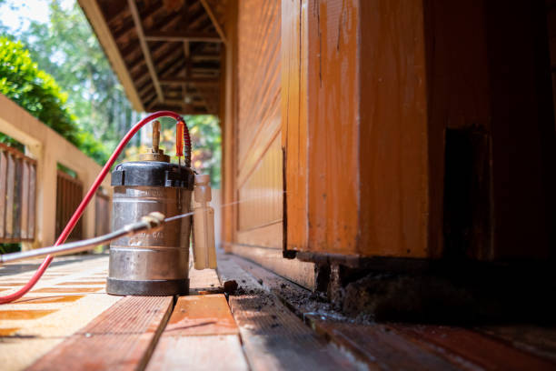 Best Mosquito Control Services  in Fairfield, CA