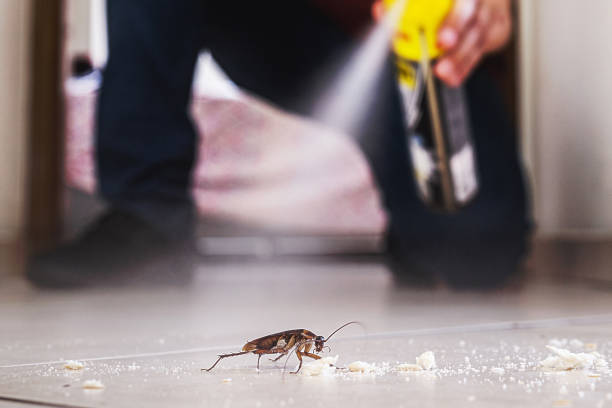 Best Insect Control  in Fairfield, CA