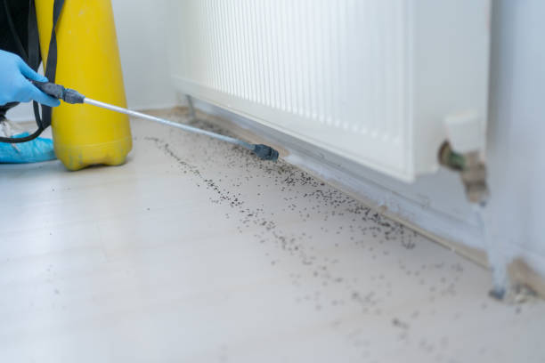 Best Best Pest Control Companies  in Fairfield, CA